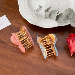 Trendy Shell-Shaped Acetate Mini Hair Clips
