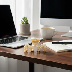 Trendy Acetate Hair Clamps - M Claw