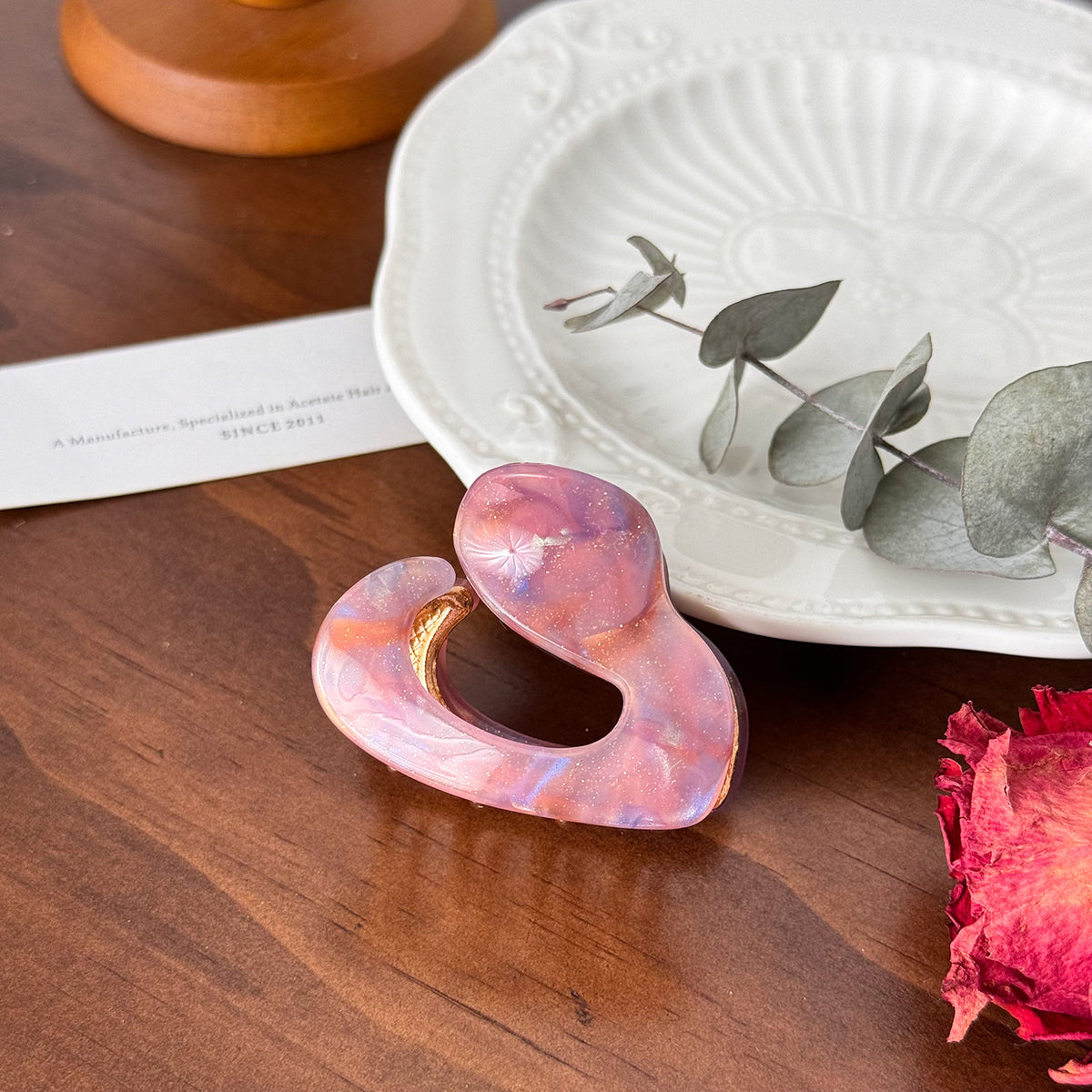 Trendy Shell-Shaped Acetate Mini Hair Clips