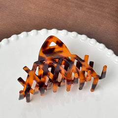 French Vintage Acetate Hair Claw