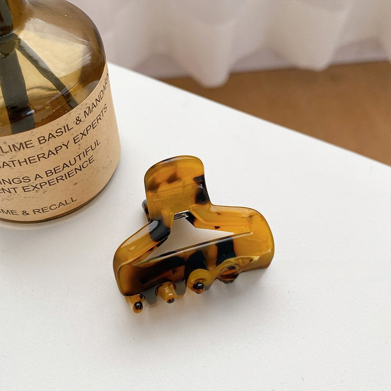 Fashionable Hair Clip Set for All Occasions